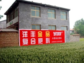 邵武如何让墙体广告展现最大化效果